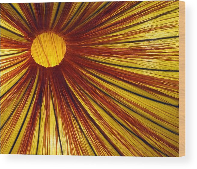 Abstract Wood Print featuring the photograph Exploding Sun by Rick Locke - Out of the Corner of My Eye