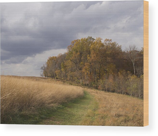 Landscape Wood Print featuring the photograph Fall Colors by Paul Ross