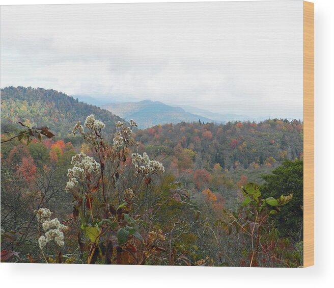 Weeds Wood Print featuring the photograph Fall Weeds by Deborah Ferree
