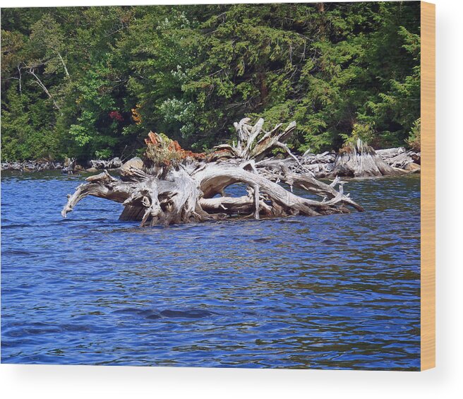 Fallen Tree Wood Print featuring the photograph Fallen tree in a lake by Susan Jensen