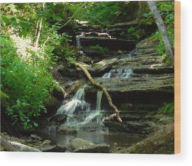 Waterfalls Wood Print featuring the photograph Falling Water by Alan Lakin