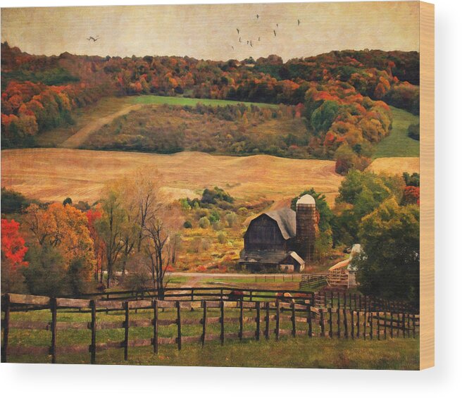 Country Wood Print featuring the photograph Farm Country Autumn - Sheldon NY by Lianne Schneider