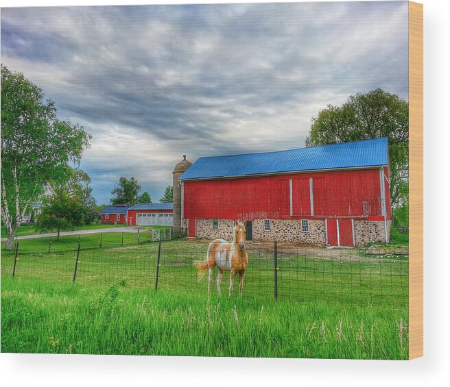 Farm Wood Print featuring the photograph Farm Friendly Greeting by Brook Burling