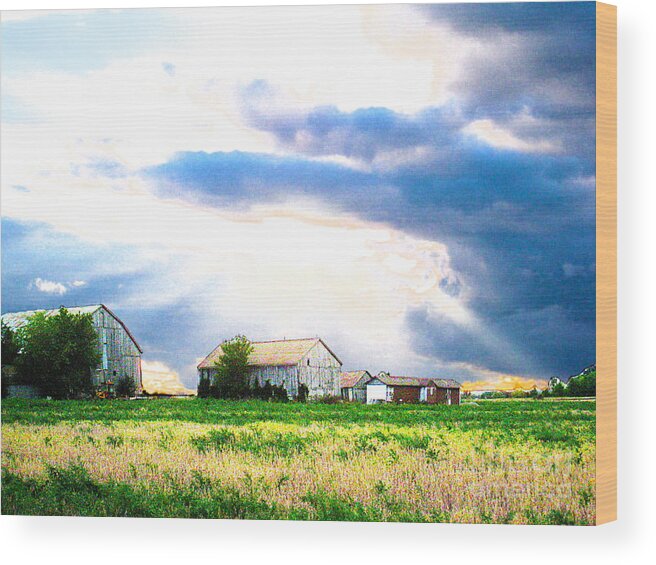 Farms Wood Print featuring the photograph Farmer's Field at Sundown by Nina Silver