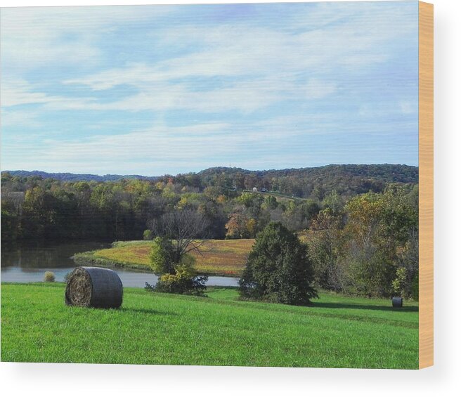 Landscape Wood Print featuring the photograph Farmland View by Julie Kind