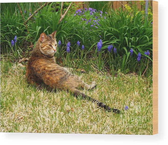 Photography Wood Print featuring the photograph Feather in Spring by Nancy Kane Chapman