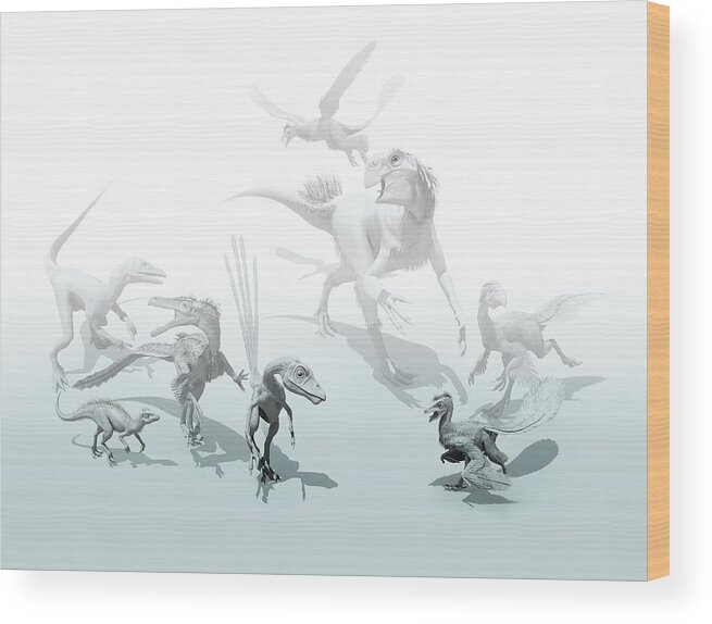 Animal Wood Print featuring the photograph Feathered Dinosaurs by Mikkel Juul Jensen