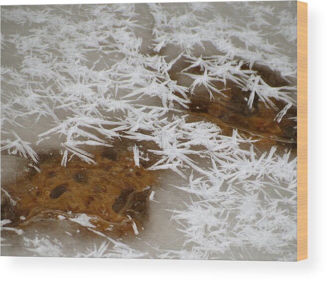 Ice Wood Print featuring the photograph February Ice by Azthet Photography