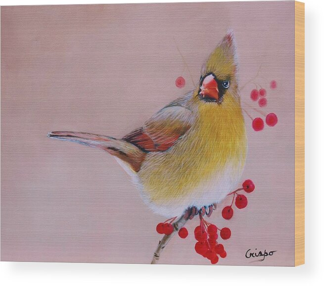 Bird Wood Print featuring the painting Female Cardinal by Jean Yves Crispo