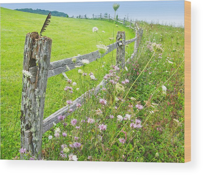 Old Wood Print featuring the photograph Fence Post by Melinda Fawver