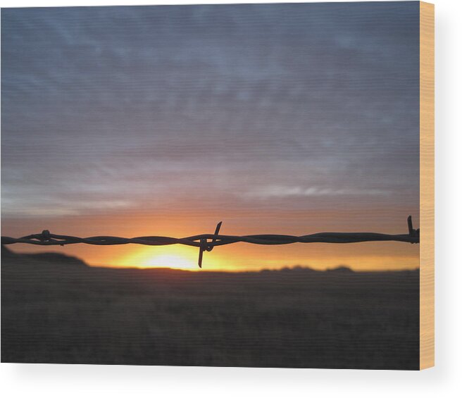 Sunrise Wood Print featuring the photograph Fencing in the Sunrise by Renny Spencer