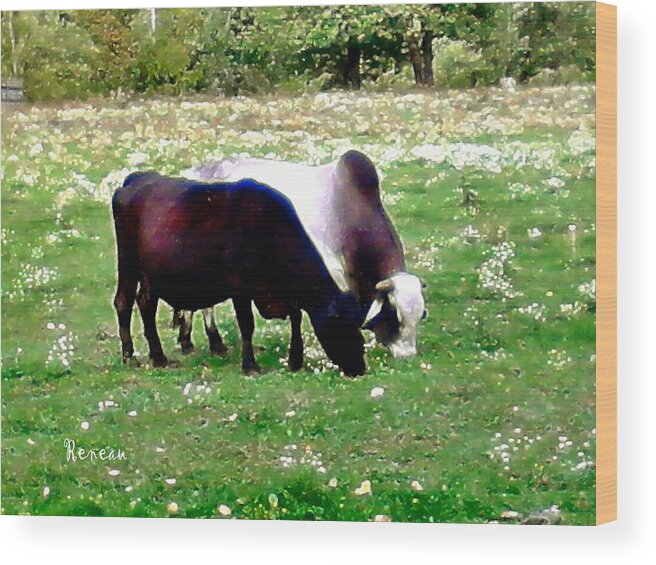 Bulls Wood Print featuring the photograph FERDINAND and MOLLY by A L Sadie Reneau