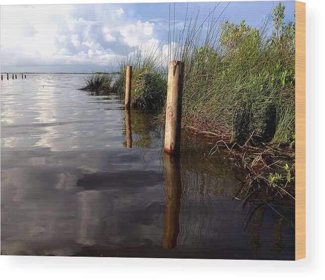 Water Wood Print featuring the photograph Fishermen's Paradise  by John Duplantis
