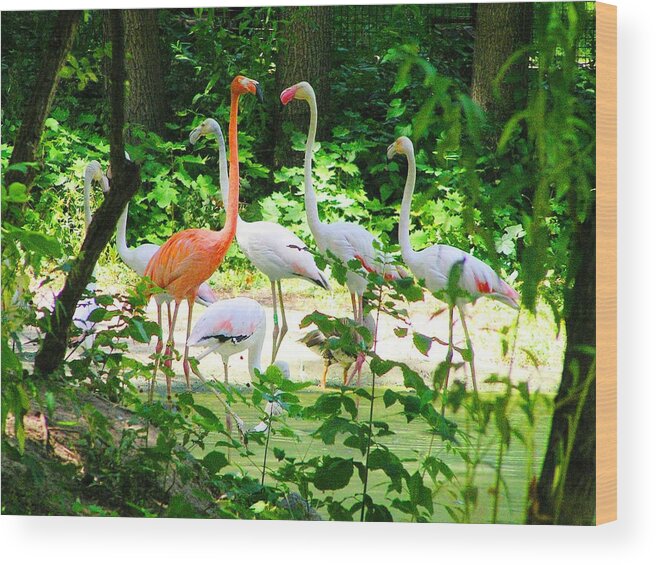 Flamingo Wood Print featuring the photograph Flamingo by Oleg Zavarzin
