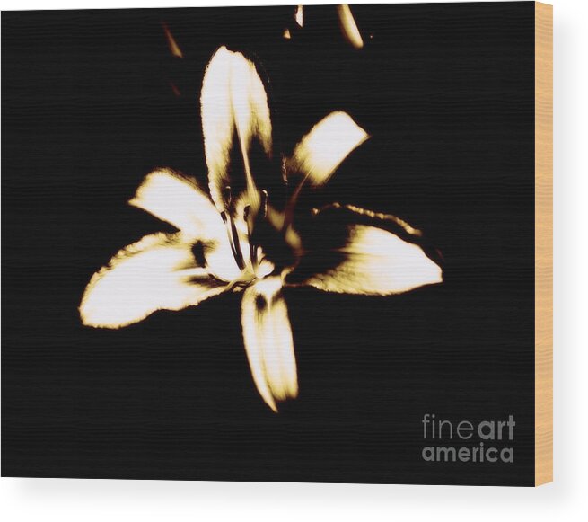 Flower Wood Print featuring the photograph Floral by Alex Blaha