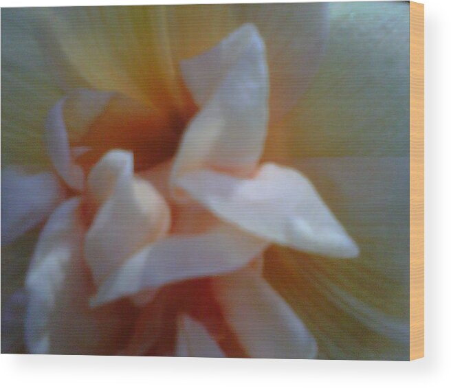 Flower Wood Print featuring the photograph Floral Beauty by Lynne McQueen