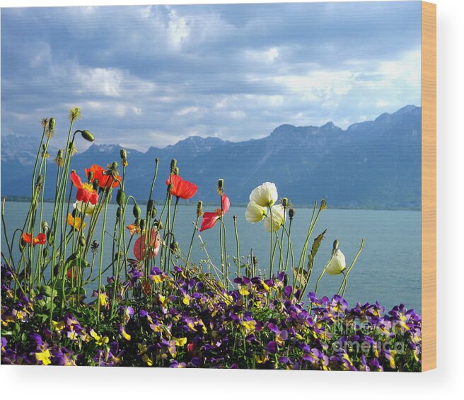 Alps Wood Print featuring the photograph Floral Coast by Amanda Mohler