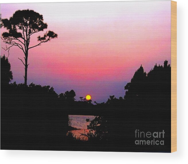 Florida Wood Print featuring the photograph Florida Sunset by Anita Lewis