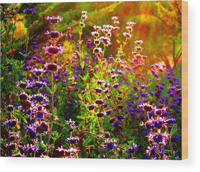 Flowers Wood Print featuring the photograph Flower Fest by Derek Dean
