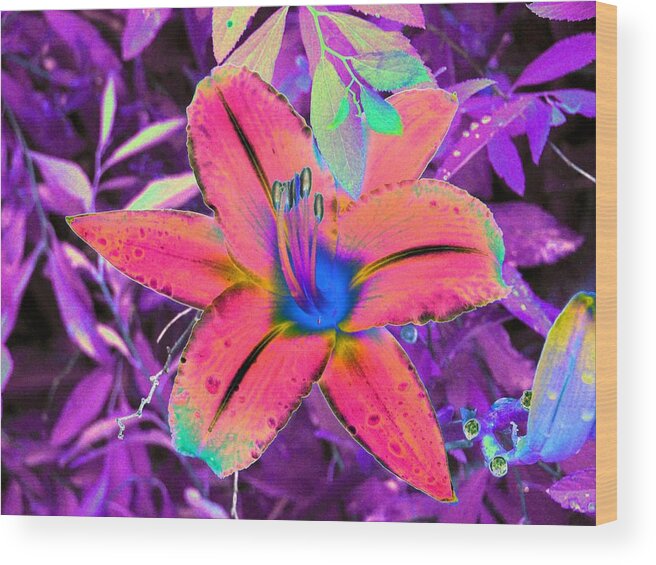 Flower Wood Print featuring the photograph Flower Power 1148 by Pamela Critchlow