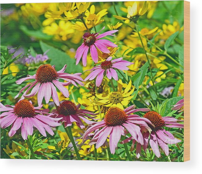 Flower Wood Print featuring the photograph Flowering Meadow by Rodney Campbell
