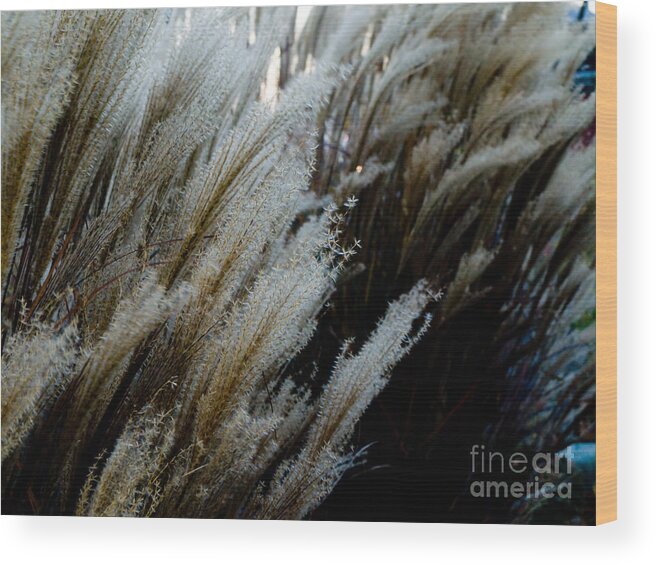 Wood Print featuring the photograph Flowing In The Wind by Tara Lynn