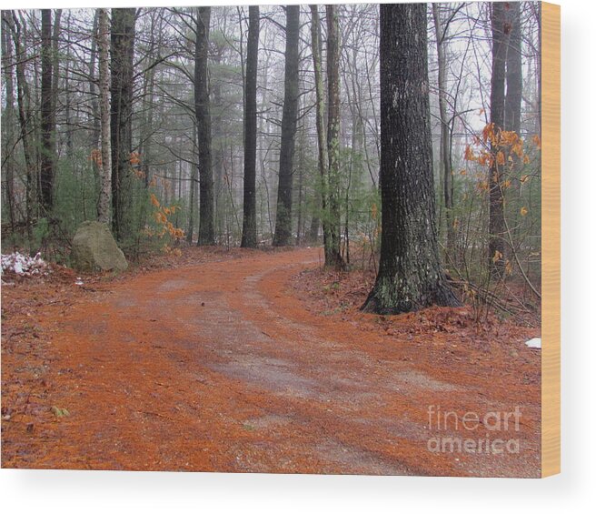 Pines Wood Print featuring the photograph Fog in the Pines by Lili Feinstein