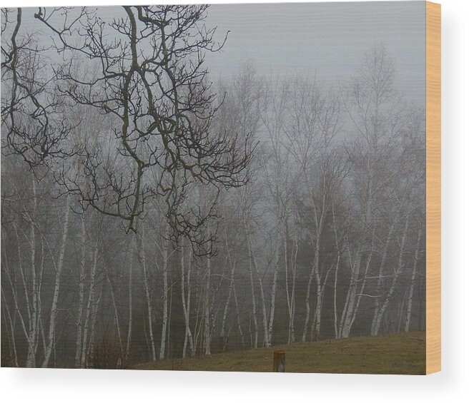 Mist Wood Print featuring the photograph Foggy Forest by Wild Thing