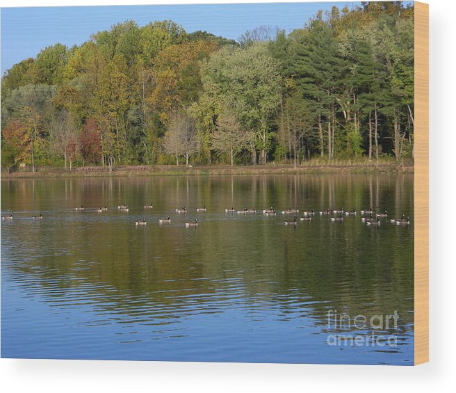 Lake Photography Wood Print featuring the photograph Follow The Leader by Emmy Vickers