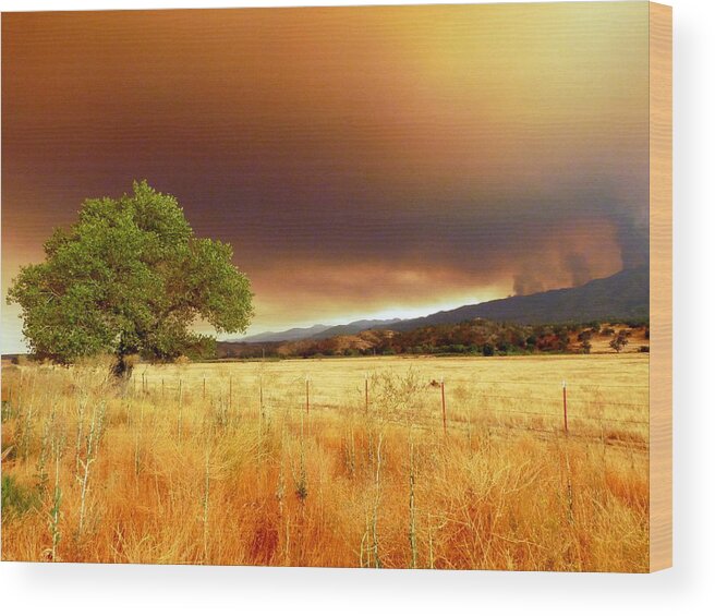 Rural Wood Print featuring the photograph Forest Fire Smoke Over Pasture and Oak by Jeff Lowe