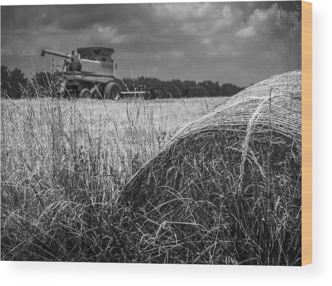 Farmland Wood Print featuring the photograph Forgotten Harvest by Andy Smetzer
