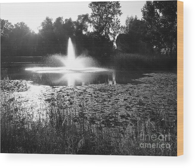 Fountain Wood Print featuring the photograph Fountain by Ginny Gaura