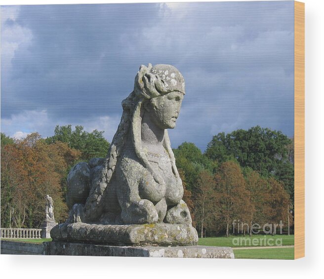 Statuary Wood Print featuring the photograph Fountainebleau Twin2 by HEVi FineArt