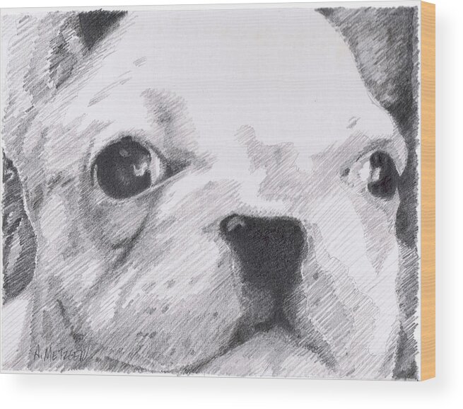 French Wood Print featuring the drawing French Bulldog white by Alan Metzger