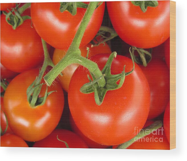 Tomato Canvas Print Wood Print featuring the photograph Fresh Whole Tomatos on Vine by David Millenheft