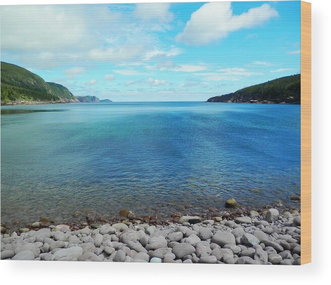 Clear Wood Print featuring the photograph Freshwater Bay by Zinvolle Art