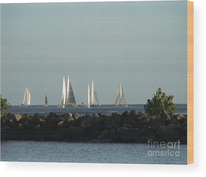 Sailboats Wood Print featuring the photograph Friday Night Races by Laura Wong-Rose