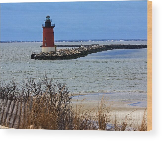 Breakwater Wood Print featuring the photograph From Henlopen Point 2 by Robert Pilkington