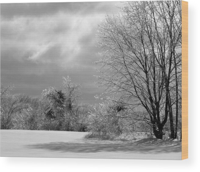 Ice Wood Print featuring the photograph Frozen In Perfect Harmony CT USA by Kim Galluzzo