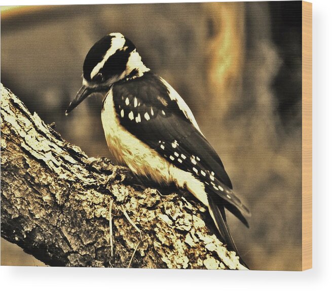 Bird Wood Print featuring the photograph Full-Color Not Needed by VLee Watson