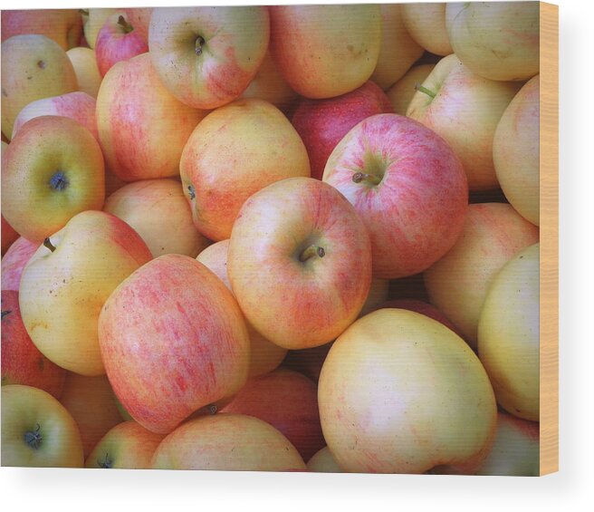 Skompski Wood Print featuring the photograph Gala Apples by Joseph Skompski