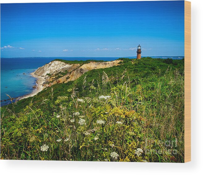 Light House Wood Print featuring the photograph Gay Head Light and Cliffs by Mark Miller