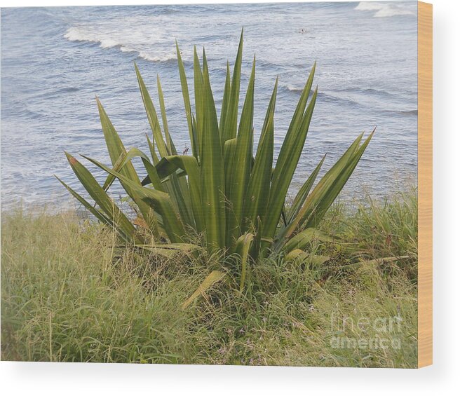 Floral Wood Print featuring the photograph Gentle Surf of Maui by Fred Wilson