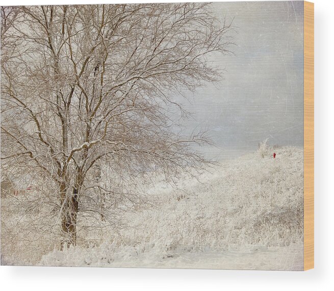 Winter Wood Print featuring the photograph Gentle Winter by Mary Underwood