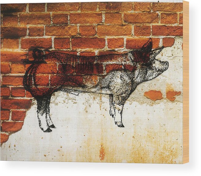 German Pietrain Boar Wood Print featuring the photograph German Pietrain 21 by Larry Campbell