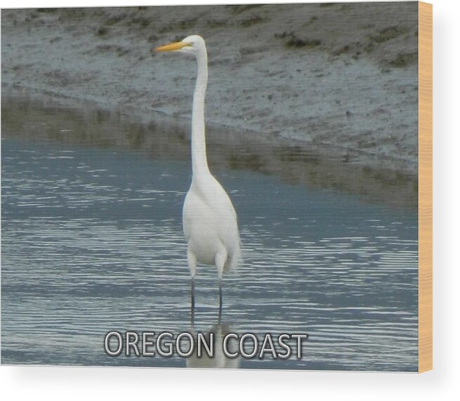 White Heron Wood Print featuring the photograph Giant White Heron by Gallery Of Hope 