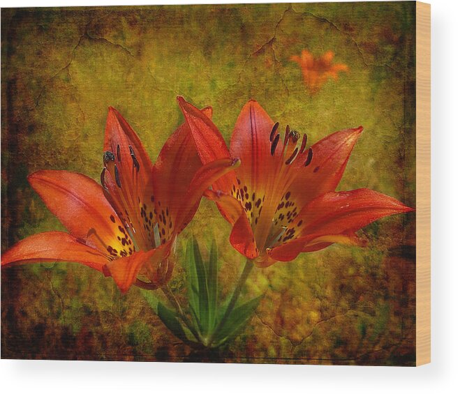 Prairie Lily Wood Print featuring the photograph Glory of the Plains by Blair Wainman