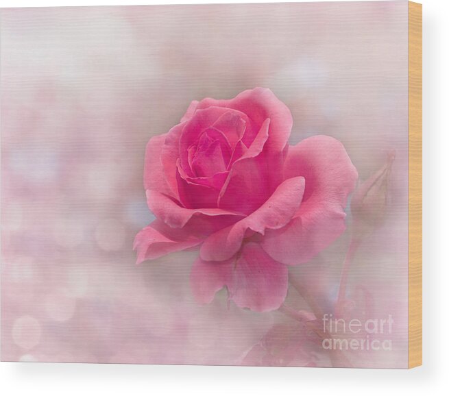 Beautiful Wood Print featuring the photograph Glowing In Pink by Sari ONeal