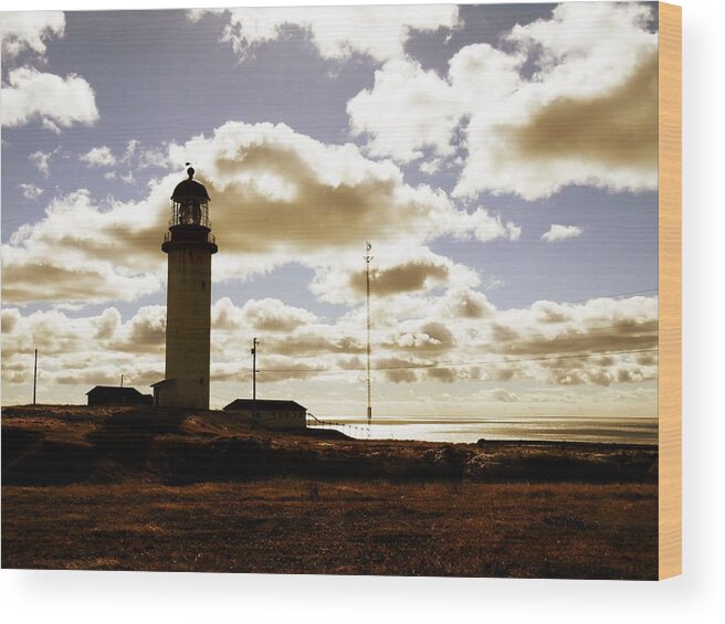 Golden Wood Print featuring the photograph Golden Cape Race Lighthouse by Zinvolle Art