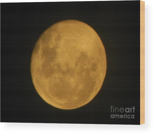 Harvest Moon Wood Print featuring the photograph Golden Harvest Moon by Gallery Of Hope 